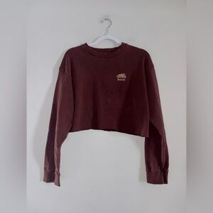 Roots | Brown Crop Sweatshirt